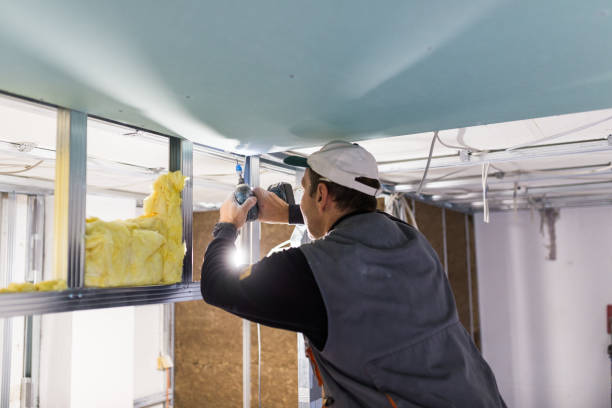Best Insulation for Specific Applications in Alanes Ridge, CA