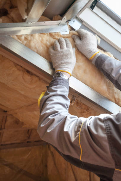 Best Insulation for Specific Applications in Alanes Ridge, CA