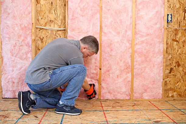 Best Insulation Installation Services in Alanes Ridge, CA